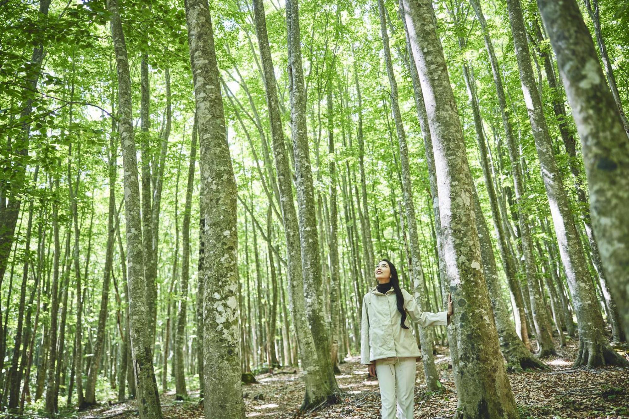 Anaインターコンチネンタル安比高原リゾート 八幡平市 エクステリア 写真