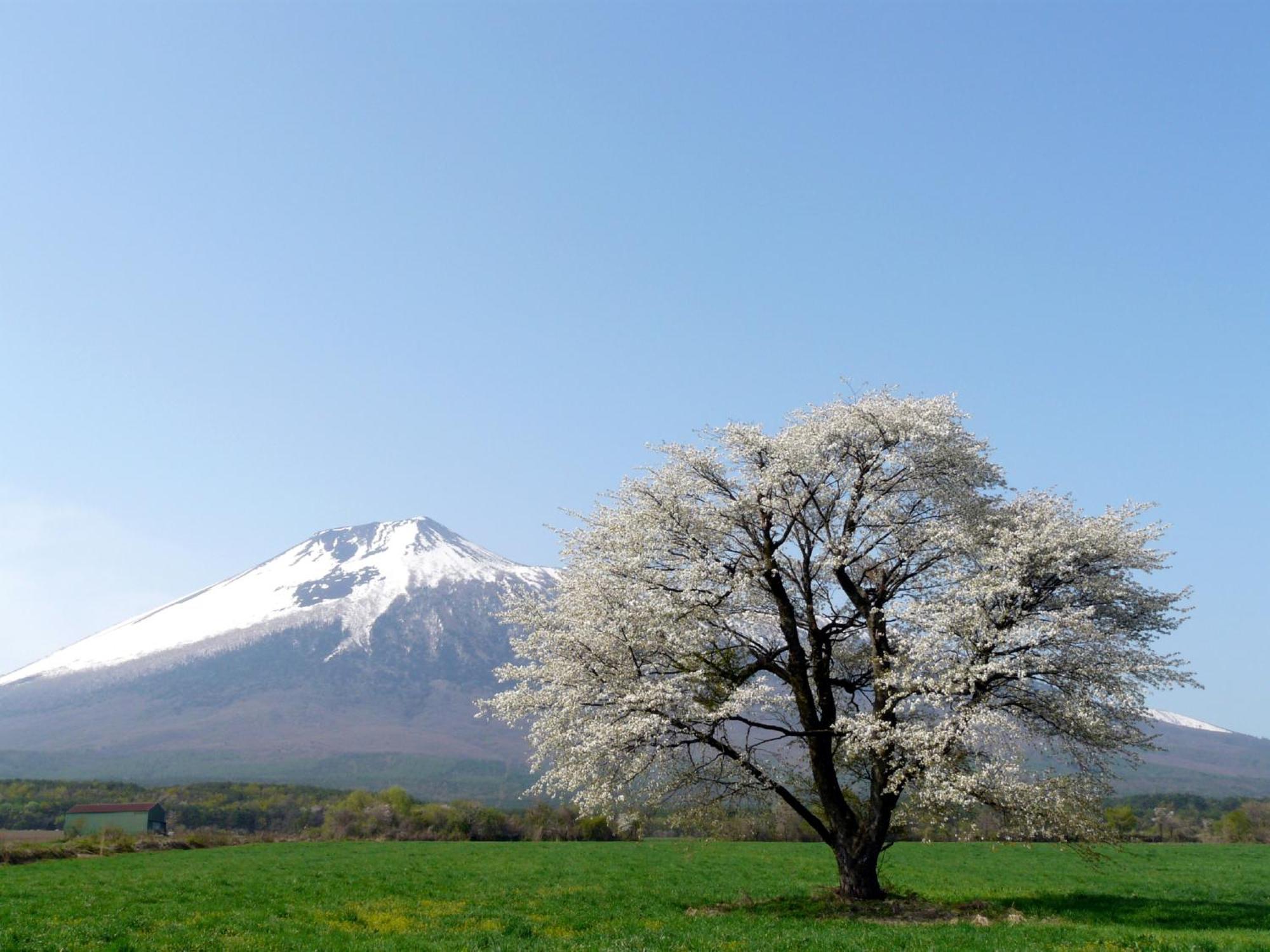 Anaインターコンチネンタル安比高原リゾート 八幡平市 エクステリア 写真